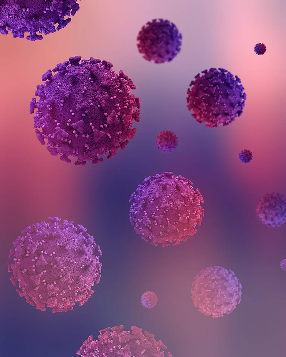 Coronavirus cells